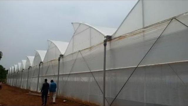 correct choice and mistakes